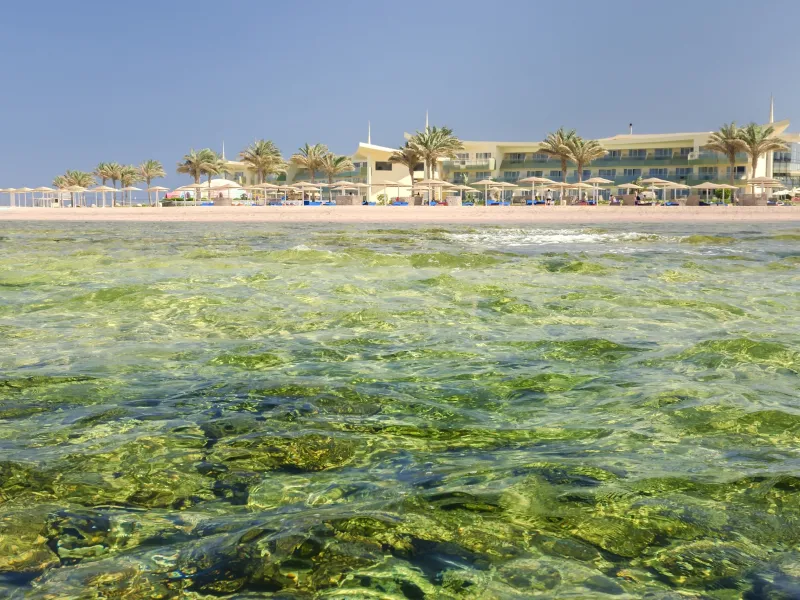 Ամանոր Շարմ էլ Շեյխում, 29.12–05.01՝ Barceló Tiran Sharm 4★